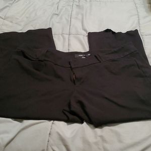 Torrid boot cut ponte pants size 26R